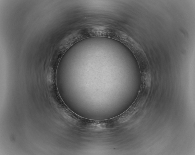 X0000110880760200906181225