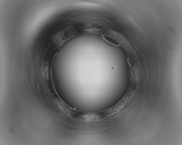 X0000110880762200906181225