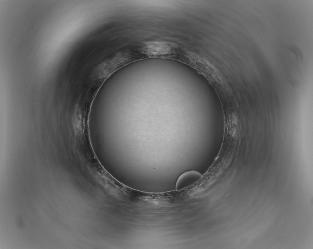 X0000110880763200906181225