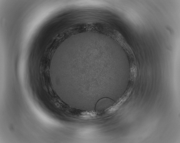 X0000110880765200906181225