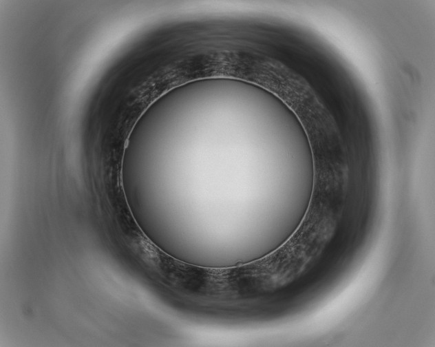 X0000110880766200906181225