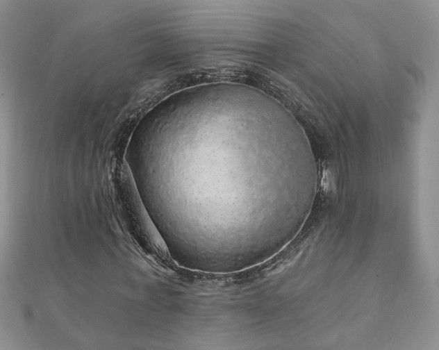 X0000110880771200906181224