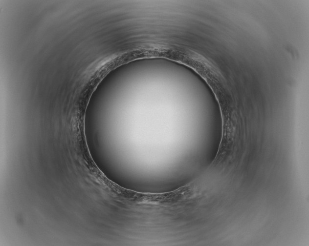 X0000110880773200906181224