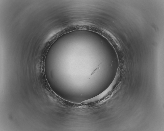 X0000110880775200906181224