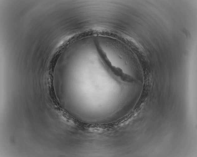X0000110880776200906181224