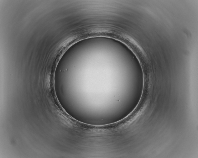 X0000110880777200906181224