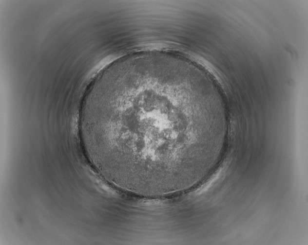 X0000110880778200906181224