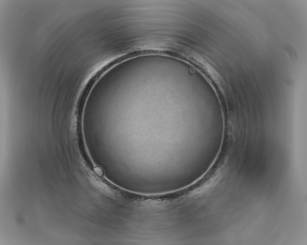 X0000110880779200906181224