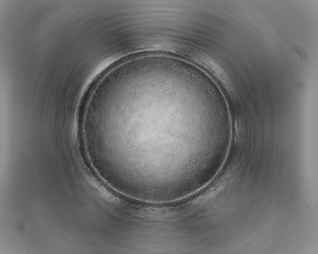 X0000110880780200906181224