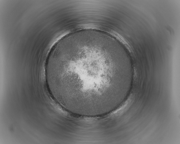 X0000110880782200906181224