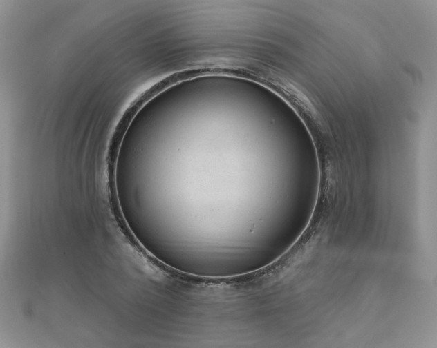 X0000110880784200906181224