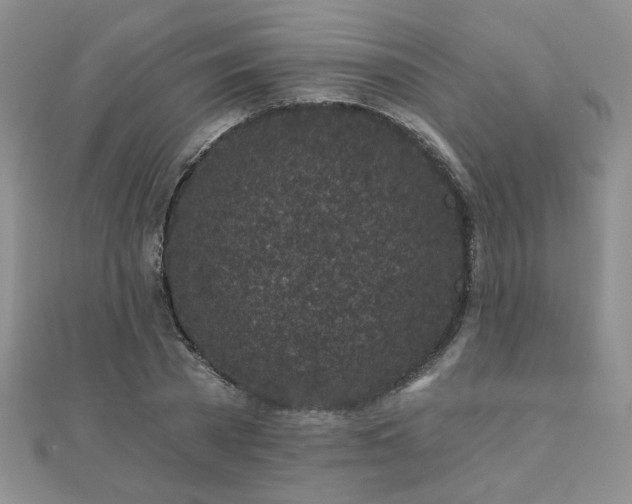 X0000110880785200906181224