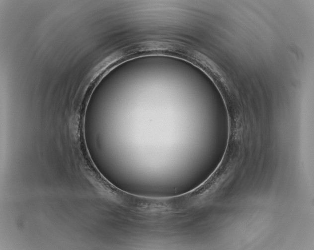 X0000110880786200906181224