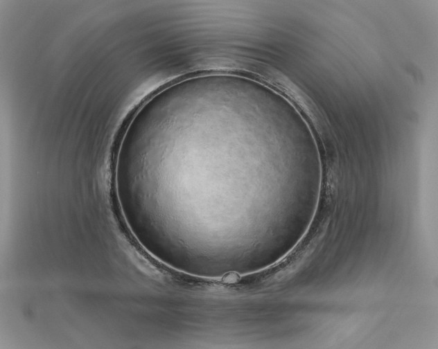 X0000110880787200906181224