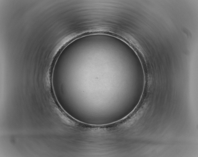 X0000110880789200906181224
