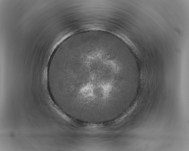 X0000110880790200906181224