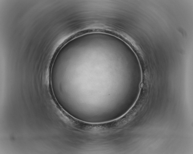 X0000110880791200906181224