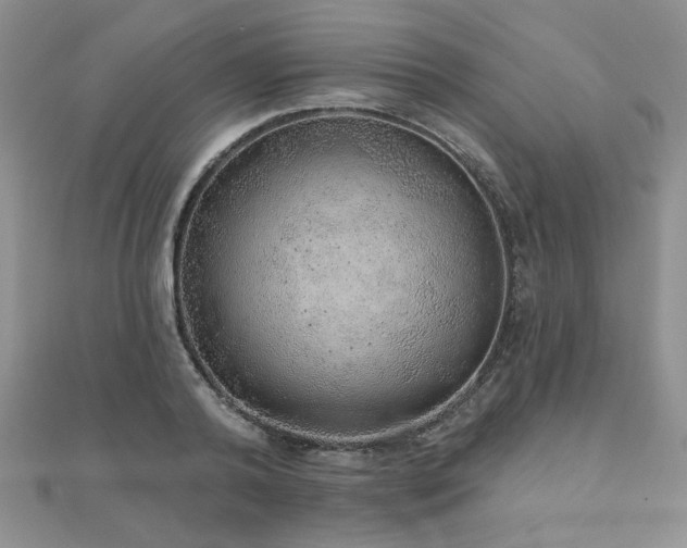 X0000110880792200906181224