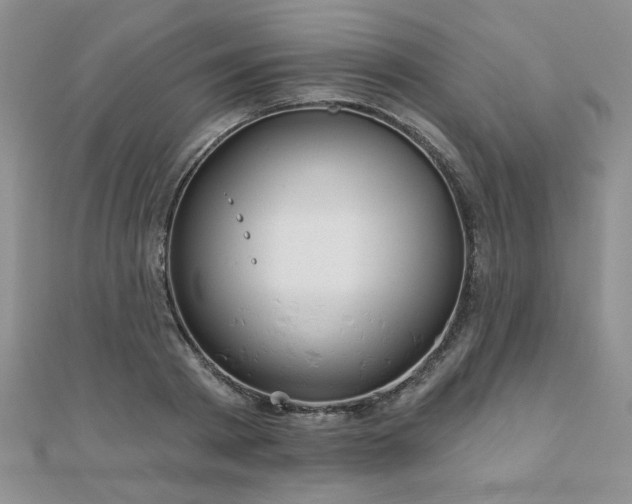 X0000110880793200906181224