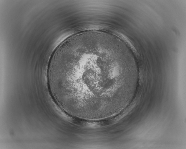 X0000110880794200906181224