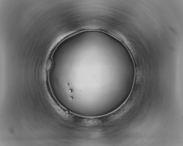 X0000110880795200906181224