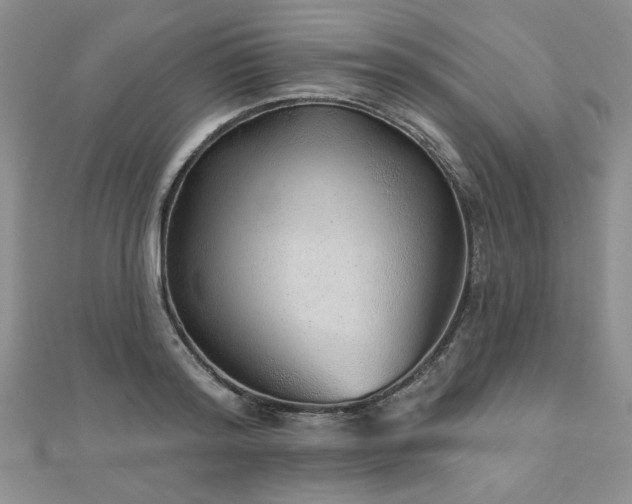 X0000110880796200906181224