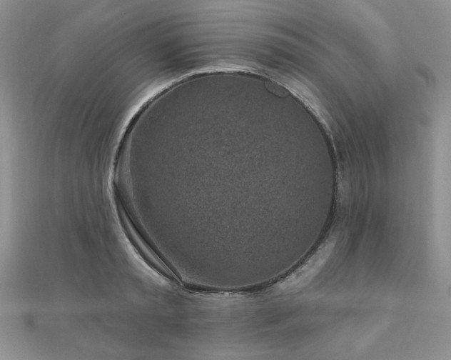 X0000110880797200906181224