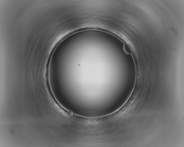 X0000110880799200906181224