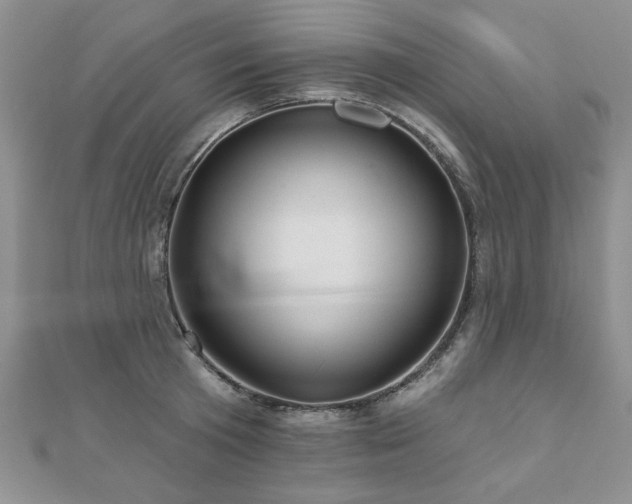 X0000110880801200906181224