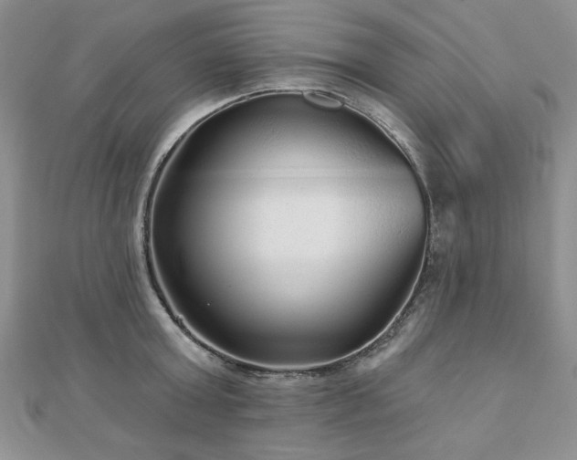 X0000110880803200906181224