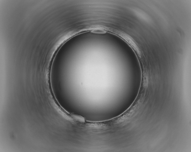 X0000110880805200906181224