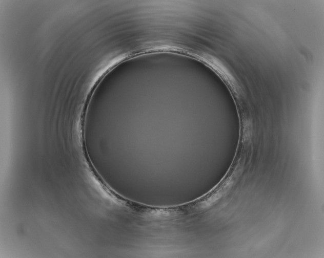 X0000110880806200906181224