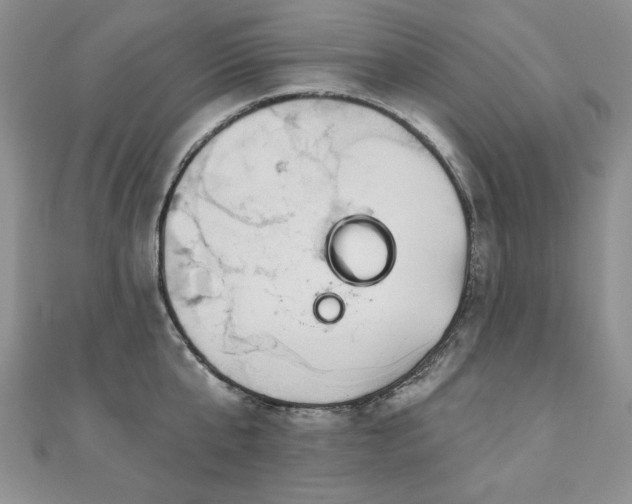 X0000110880807200906181224