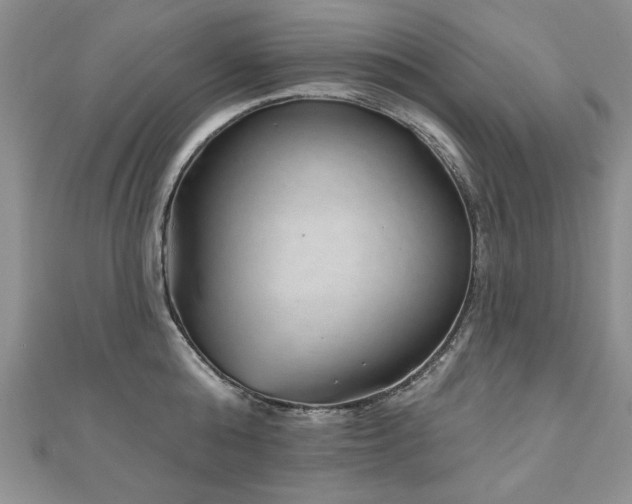 X0000110880808200906181224