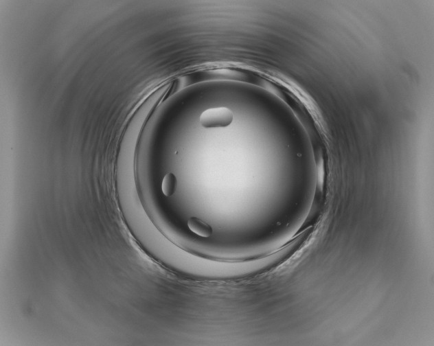 X0000110880809200906181224