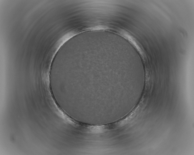 X0000110880810200906181224
