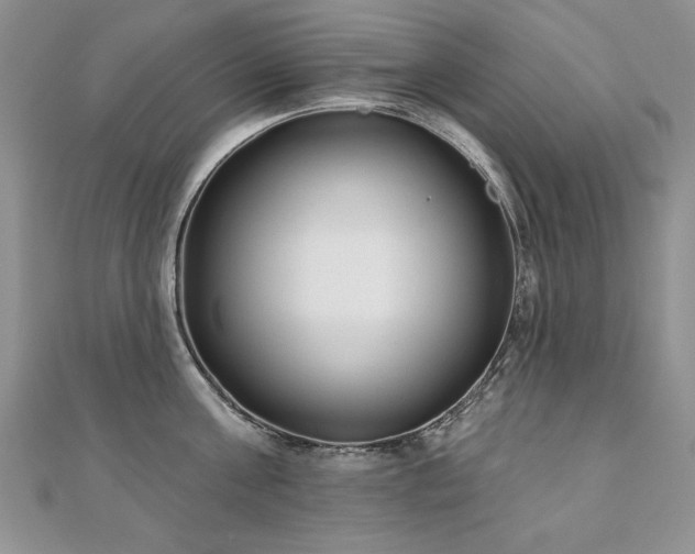 X0000110880811200906181224