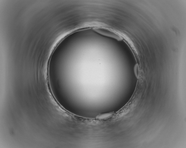 X0000110880815200906181224