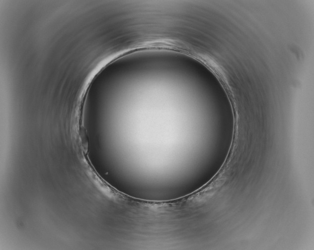 X0000110880816200906181224