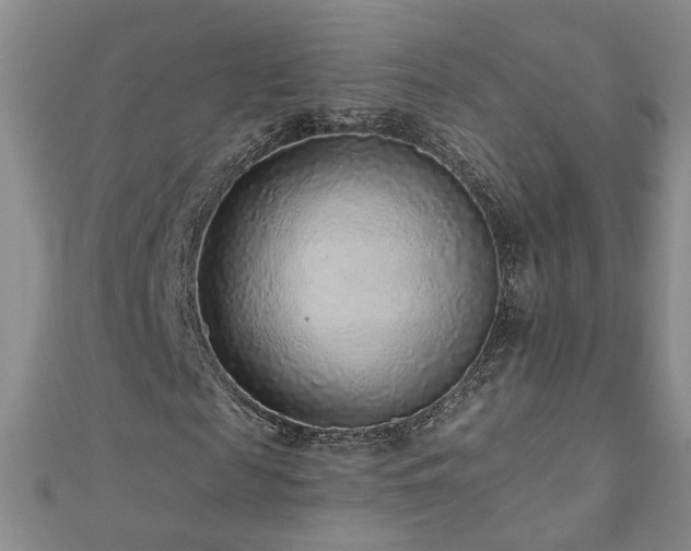 X0000110880817200906181223