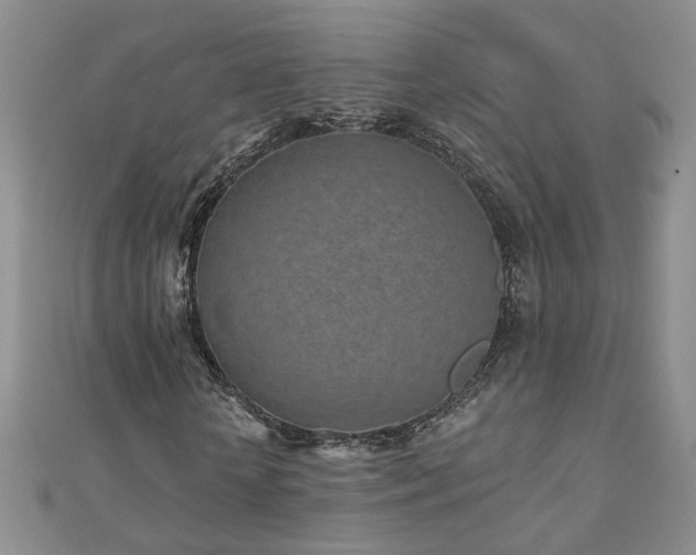X0000110880818200906181223