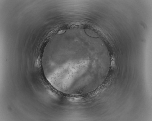 X0000110880819200906181223