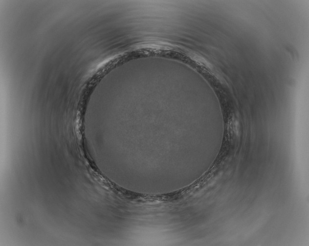 X0000110880822200906181223