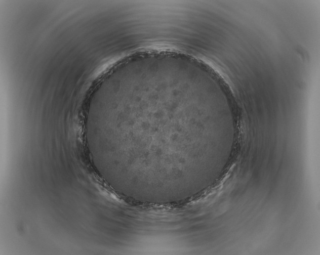 X0000110880823200906181223