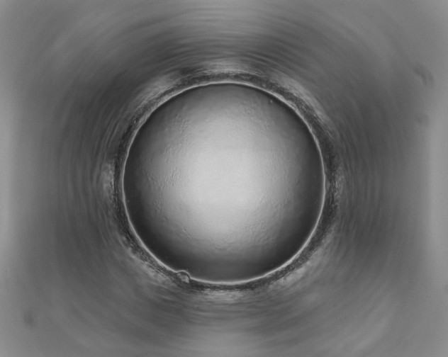 X0000110880825200906181223