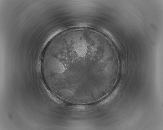 X0000110880827200906181223