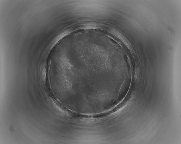 X0000110880829200906181223
