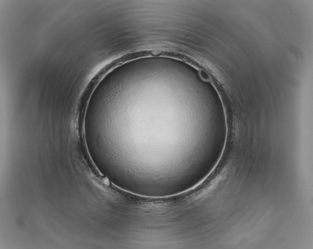 X0000110880830200906181223