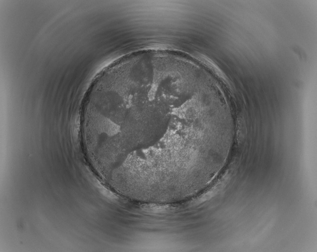 X0000110880831200906181223