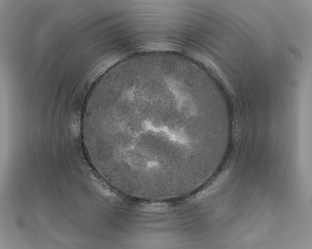 X0000110880833200906181223